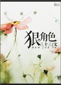 狠角色英文翻译