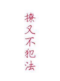 撩又不犯法中的优美句子