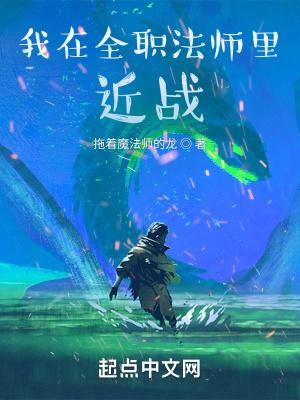 我全职法师里近战