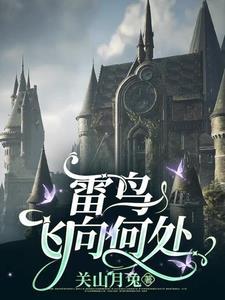 HP雷鸟飞向何处