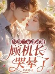 顾机长哭晕了作者叶漠漠