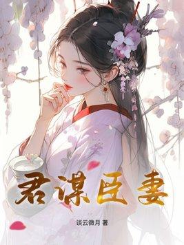 君谋臣妻后续