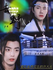 忘羡的孩子们从天而降18