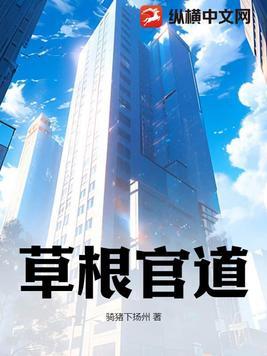 草根官场的传奇人生