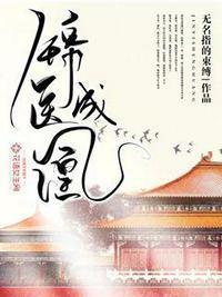 锦医成凰TXT百度