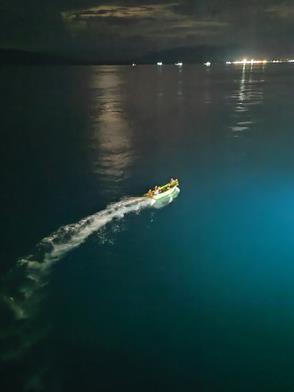 我的航海梦主要内容